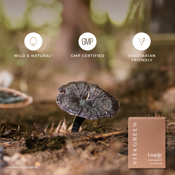 Vita Reishi (Lingzhi) - 3 Month Supply