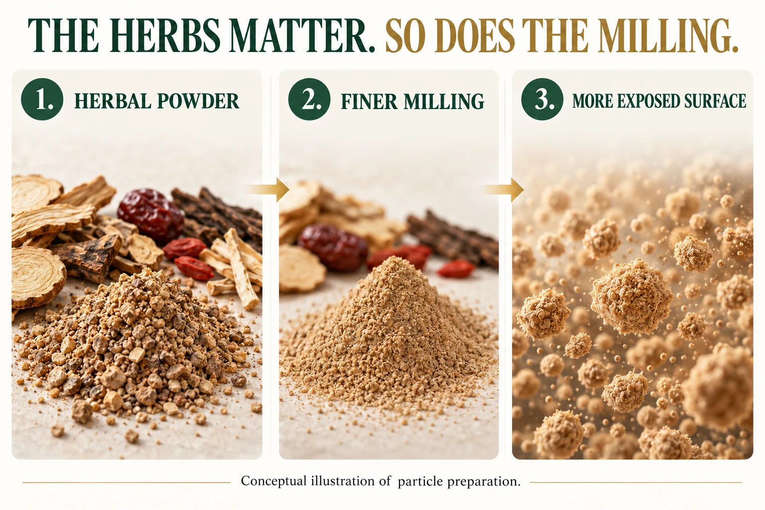 Conceptual infographic: herbal powder, finer milling, more exposed surface