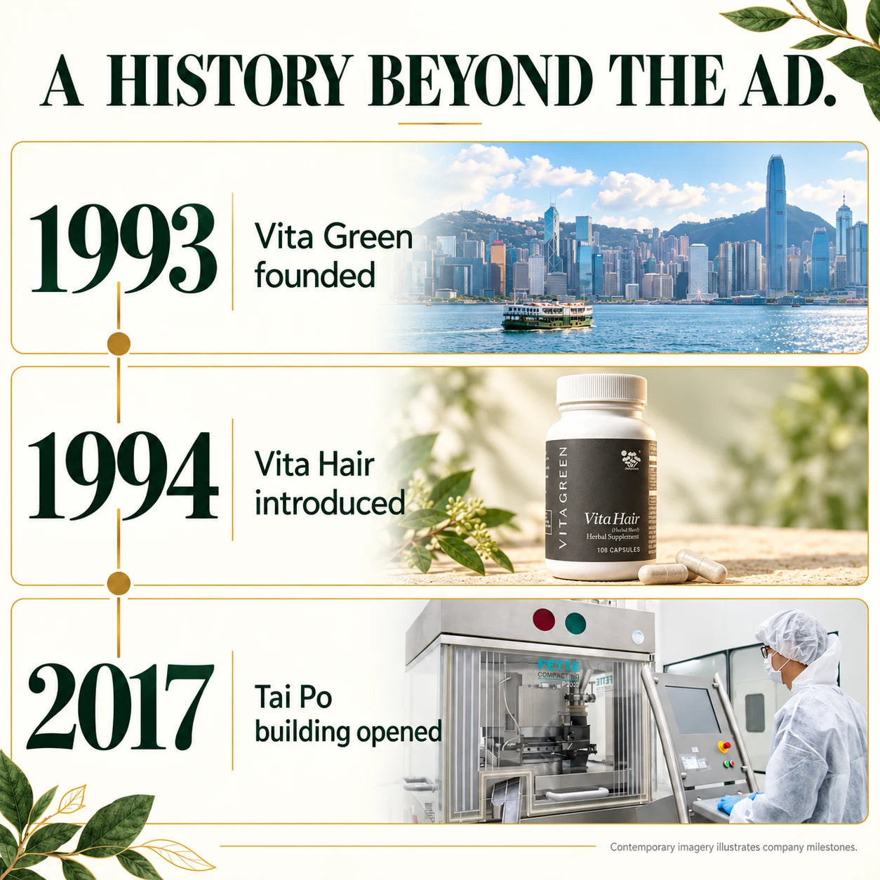 History infographic thumbnail